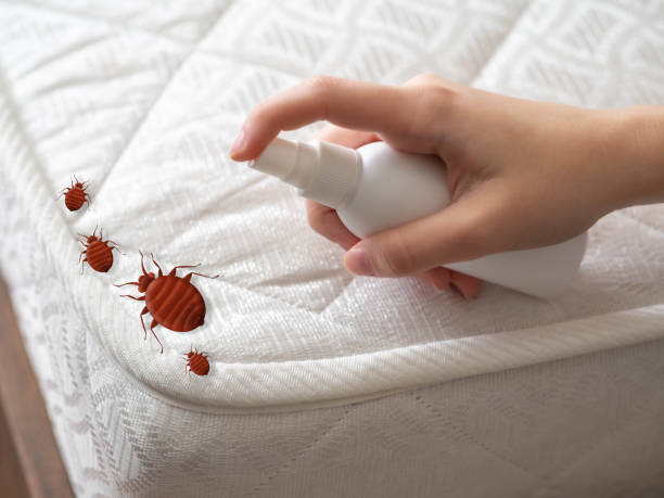 Best Pest Exclusion Services  in Ocean Grove, NJ